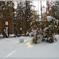 "колобок" в зимнем лесу :: Сергей Швечков