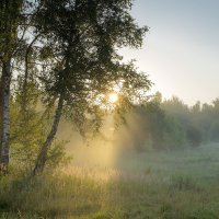 Пейзаж :: Владимир 