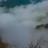 Накрывает туман. :: Yoris2012 Lp.,by >hbq/