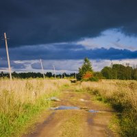 Поле в Ленинградской области :: Kamilla Gazizova