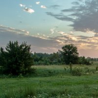 Летним утром :: Виктор Позняков