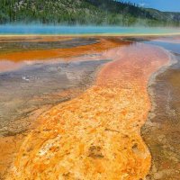 Yellowstone National Park. :: Gene Brumer