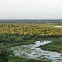 Пойма Оби. Озеро :: Виктор Четошников