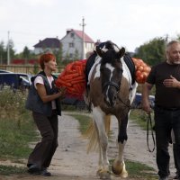 Все свое несу сам - никому не отдам. :: Екатерина Сергеева