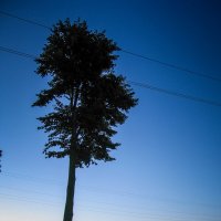 Утро в старом городе :: fotokor 72