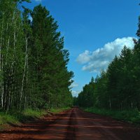 Красные дороги Абанского района. :: Владимир Михайлович Дадочкин