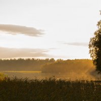 Лучи солнца :: Славомир Вилнис