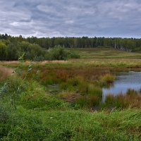 осень начинается... :: зоя полянская 