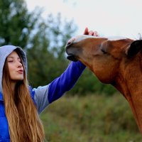 Лошадь :: Nata Potapova