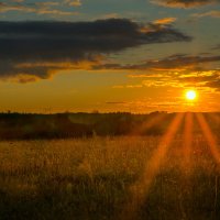 В лучах :: Денис Тарасов