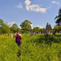 ... :: Тарас Грушивский