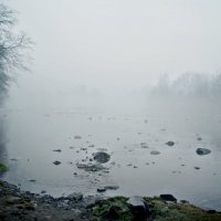 Январский туман :: Юлия 