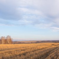 Начало лета :: Роман Червов