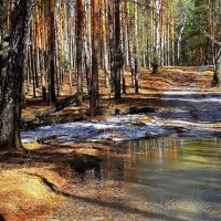 Весна :: Галина Стрельченя