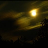 Ночь в лесу :: Сергей Компаниец