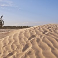 пески Сахары :: Petr Popov