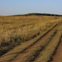 Дорога в осень :: Ирина Богатырёва