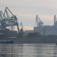 Утро в порту :: Olga 