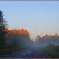 Osenjij etjud :: Daiga Megne 