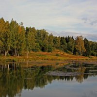 Подмосковье. :: Анна Букина