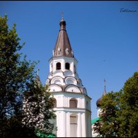 Распятская церковь-колокольн :: Tatiana 