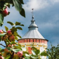 Башня Спасо-Прилуцкого монастыря :: Дмитрий Бачтуб