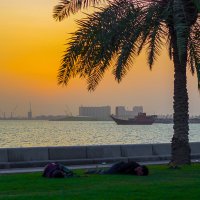 Утро в Катаре :: Татьяна Жуковская
