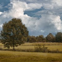 По дороге в г. Эмден :: Алёна Михеева