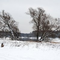 Клязьма :: Владимир Потапов