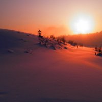 Зима закат :: Сергей Бурнышев