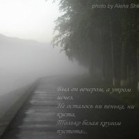 Туман :: Алёна Шкобенева