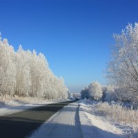 Зимняя дорога :: Наталья Юрова