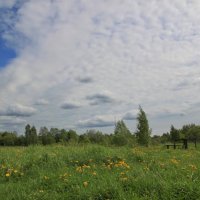 Лежу в траве, смотрю на облака... :: Марина Иванова