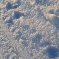 снег :: Ксения Десятова