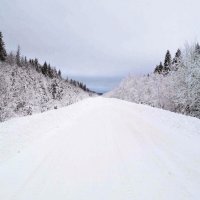дорога-снег :: zwolena Мария Бондаренко