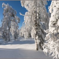 Аджигардак :: Андрей Коротнев