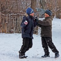 Снежные баталии :: Евгений Гудименко