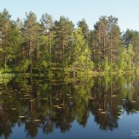 Ламбушка :: Евгений Задирака