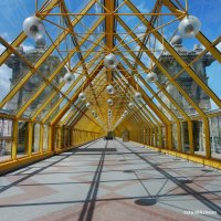 Андреевский мост :: Марина Витушкина