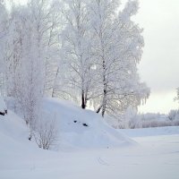 Снежная хрупкость :: Janibella Botticelli