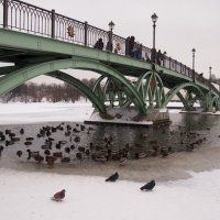 у моста :: Виктория Семенова