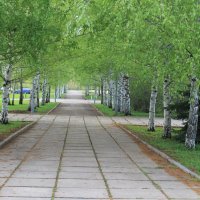 парк :: Вероника Егорова
