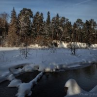 Зимнее настроение :: Дмитрий Шилин