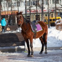 Праздники закончились :: Вадим Нечаев