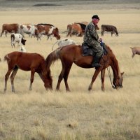 Оренбургские степи. :: Елизавета Успенская