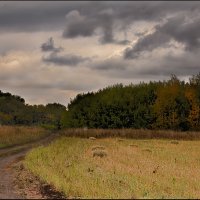 Оcень.. :: Александр Смольников