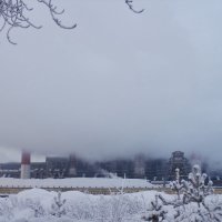 Ну-у, туман :: Вадим Аминов