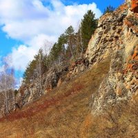 Прошёл листопад... :: Галина Стрельченя