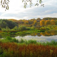 Очей очарованье :: Галина Медведева