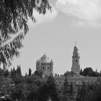 Немецкий католический монастырь в ч/б. Иерусалим. :: Алла Шапошникова